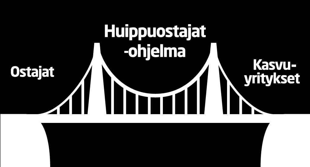 Huippuostajat Fiksu kysyntä luo markkinoita yritysten uusille ratkaisuille 2013-2016 Tarjoaa Tavoite Yritysten kehitysrahoitusta sekä tilaajien innovatiivisten hankintojen suunnittelun rahoitusta =