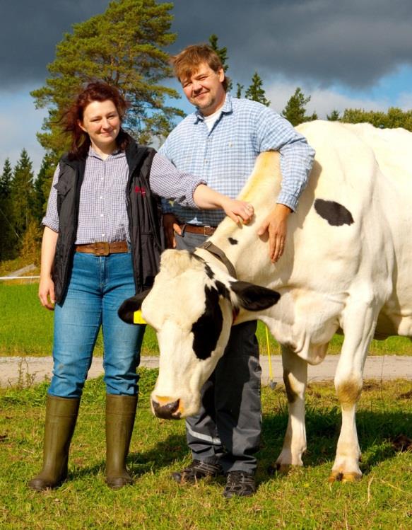 Yhteistyön tuloksena Ratkaisuehdotukset yhteistyössä tuottavat kehittämisehdotukset, jotka ottavat huomioon