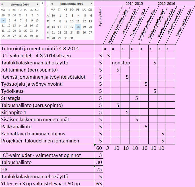 Koulutuksen rakenne* *alustava, opintojaksojen nimiä ja ajoituksia voidaan vielä