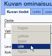 PÄIVITTÄJÄN OHJE g) Paina painiketta ikkunan oikeasta alakulmasta.