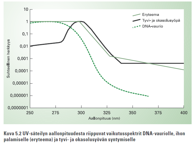 Laihia J ym. UV-säteilyn biologisia ja terveydellisiä vaikutuksia.