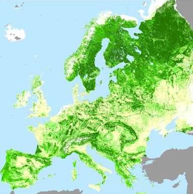 Metsät ovat Suommelle tärkeitä Taloudellisesti 22 milj. ha metsää Hakkuut 55 milj.m 3 /v Kantorahatulot 2 mrd.