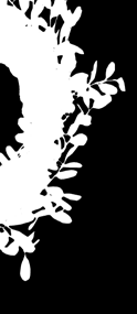 joulukoristeet valmistuvat joulun hauskimmassa