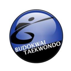 Budokwai Taekwondon tärkein arvo on jatkuva kehittyminen. Vaikka olosuhteet olisivat hyvät ja perustoiminta rullaisi hienolla mallilla, on aina jotakin mitä voisi tehdä vielä paremmin.