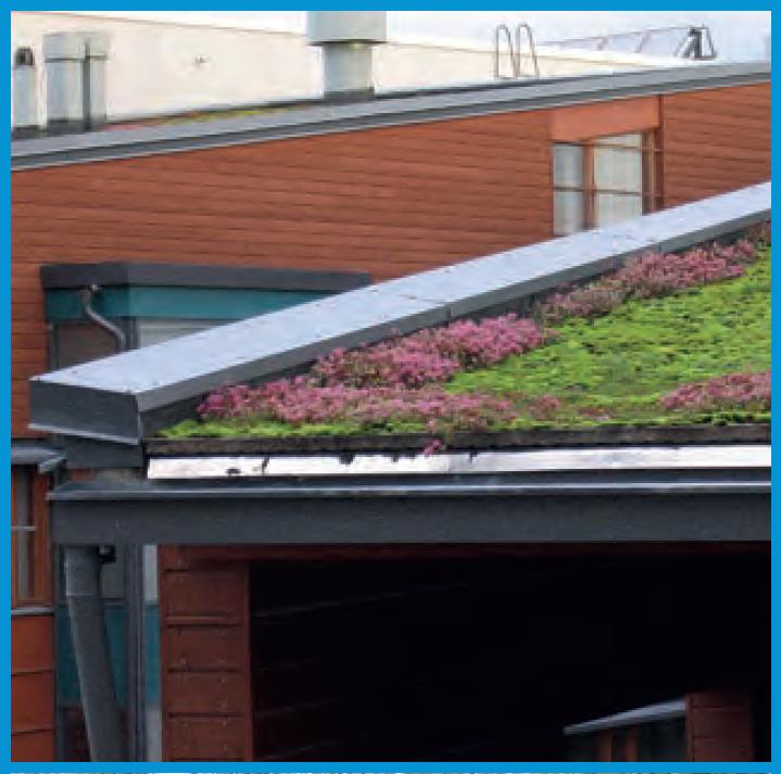 Tietoa viherkattojen suunnittelusta, kasvien valinnasta ja rakentamisesta saa mm. Rakennustietosäätiön ohjekortista. Viherkattojen toimivuudesta ja rakenteista saa tietoa mm. kattovalmistajilta.
