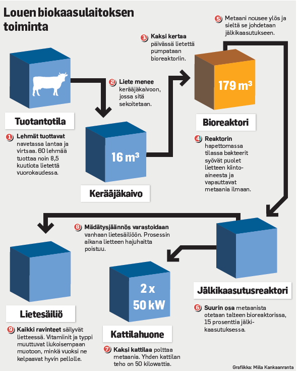 Kuva 1. Louen biokaasulaitos (Lappia Louen yksikkö 2013). 6.4 Syötteet Biokaasun tuotantoon sopivat myös rasvat, proteiinit ja hiilihydraatit ilman käsittelyjä.