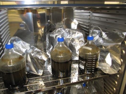 Biokaasututkimukset on aloitettu laboratoriossa toteutettavin biokaasupanoskokein (Kappale 2.1), joilla on selvitetty yksittäisten syötteiden sekä syöteseosten metaanintuottopotentiaalit.