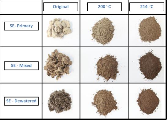 3.2 DM and odm concentration of samples In Figure 10 the DM and odm values for sludge s from first dewatering step are shown.