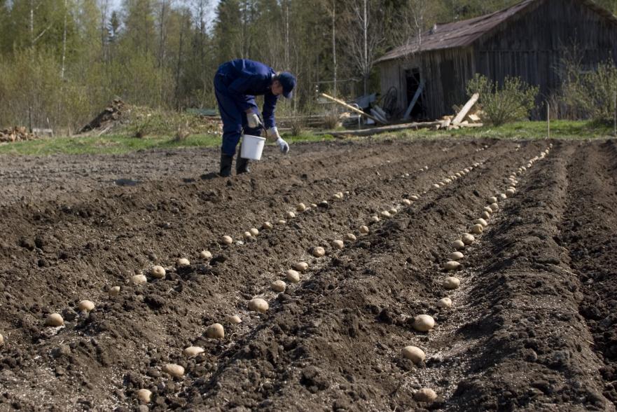 Asukkaat osallistuvat töihin kukin osaamisensa