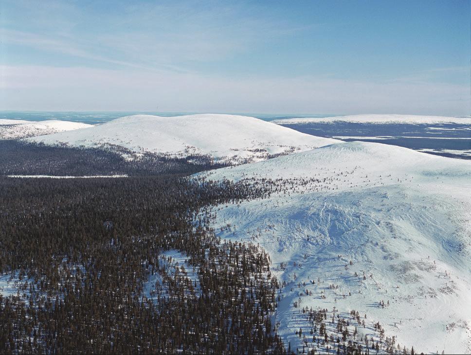 Matkailuyhteistyön tavoitteita Yhteistyön tavoitteena on luontomatkailun kestävyys kansallispuistoissa ja muilla suojelualueilla Lisäksi tavoitellaan yhteistyöyritysten, Metsähallituksen