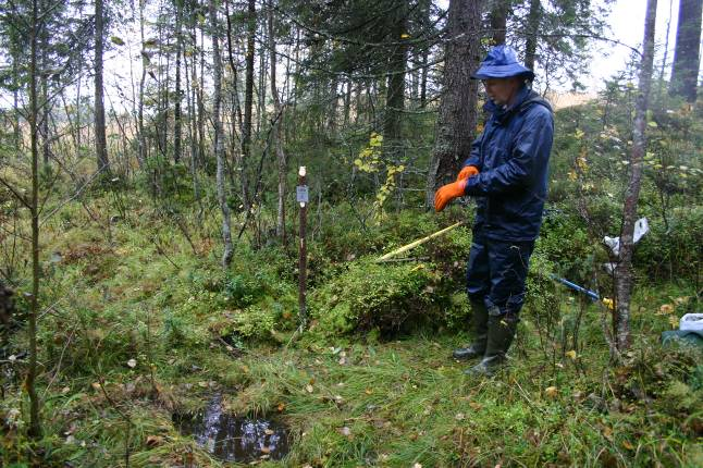 Ammattiosaamista vaativaa työtä ei tarjota, vaan naapuriapua ja jokamiestyötä noin 150 omakotitalkkaria yli 80 Omakotiliiton paikallisyhdistyksessä www.omakotiliitto.