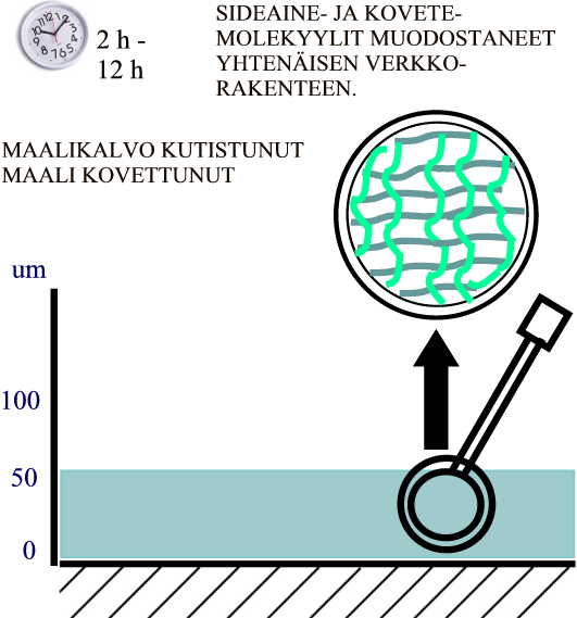 KEMIALLINEN KOVETTUMINEN Kuva 13. Reagoiva kovete. Vaihe 3. Kemiallisessa kovettumisessa maalin sideaine reagoi jonkin toisen aineen kanssa jolloin se polymeroituu ja muodostaa valmiin maalikalvon.