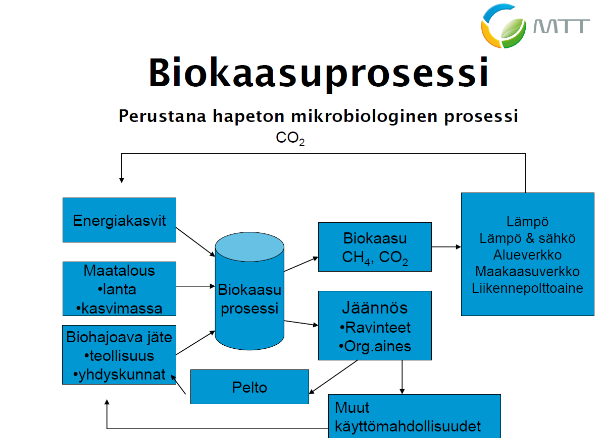 3 BIOKAASU Biokaasua syntyy hapettomissa olosuhteissa bakteerien mädättäessä eloperäistä ainesta.