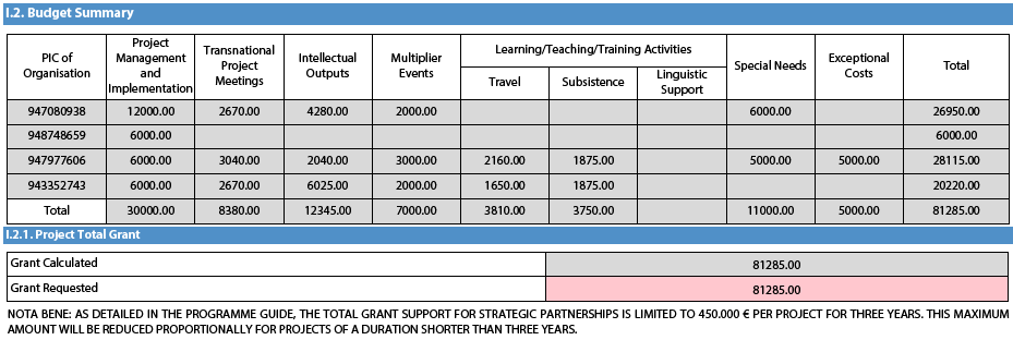 I.2. Budget Summary Muista täyttää