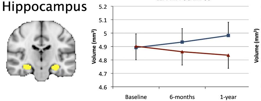 Liikunnallinen harjoittelu ja kognitio Aerobinen harjoittelu (11 rct) (Angevaren et al.