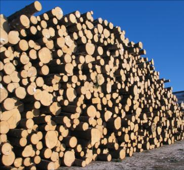 Versowood Group, lyhyesti Suomen suurin yksityinen mekaanisen metsäteollisuuden yritys Toimintaa 13 yksikössä; 11 kotimaassa ja