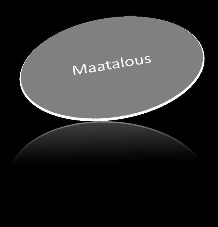 EKOSYSTEEMIPALVELUJA RIISTA MARJAT