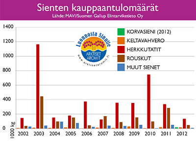 Sienten