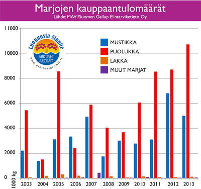 Metsämarjojen poiminta teollisuudelle Lähde: