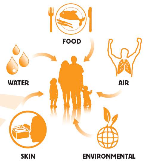 5 Nanopartikkelien ja -materiaalien riskit 1 Nanopartikkeleille voidaan altistua hengitysilman, elintarvikkeiden, veden ja lääkkeiden nauttimisen välityksellä tai ihon ja ympäristön kautta.
