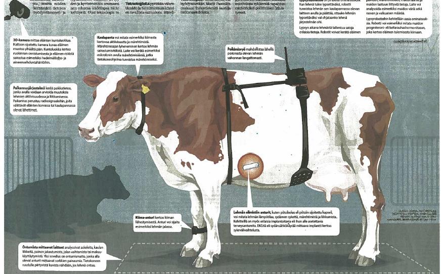 Tuotanto, terveys ja hyvinvointi: lehmä vuosimallia 2030?