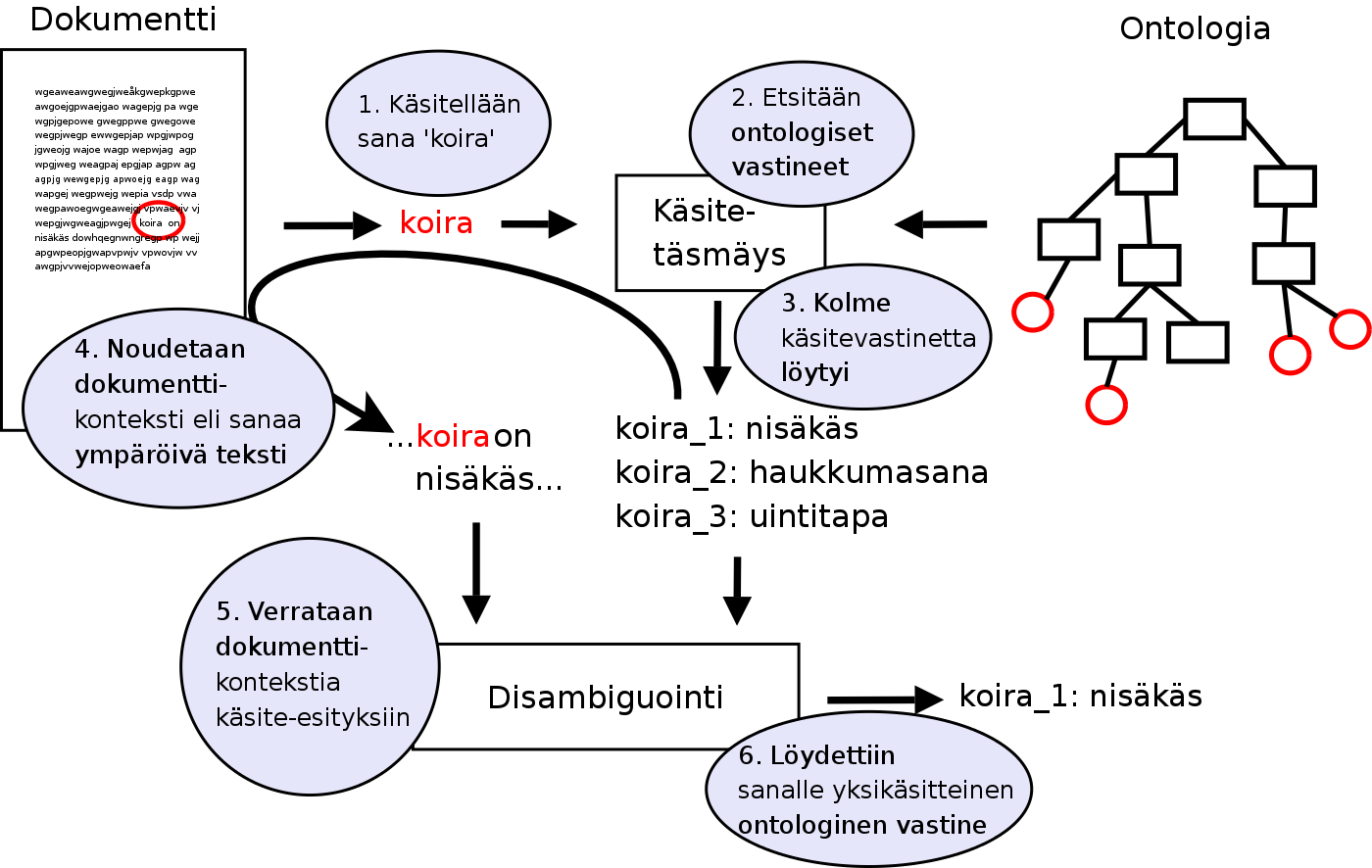 Disambiguoinnin tuloksena täsmääväksi käsitteeksi saadaan koira_1, koira nisäkkäänä.