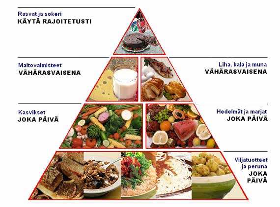 Rasva 6. Leipä ja viljavalmisteet Päivittäiseen ruokavalioon valitaan jotakin ympyrän jokaisesta lohkosta.