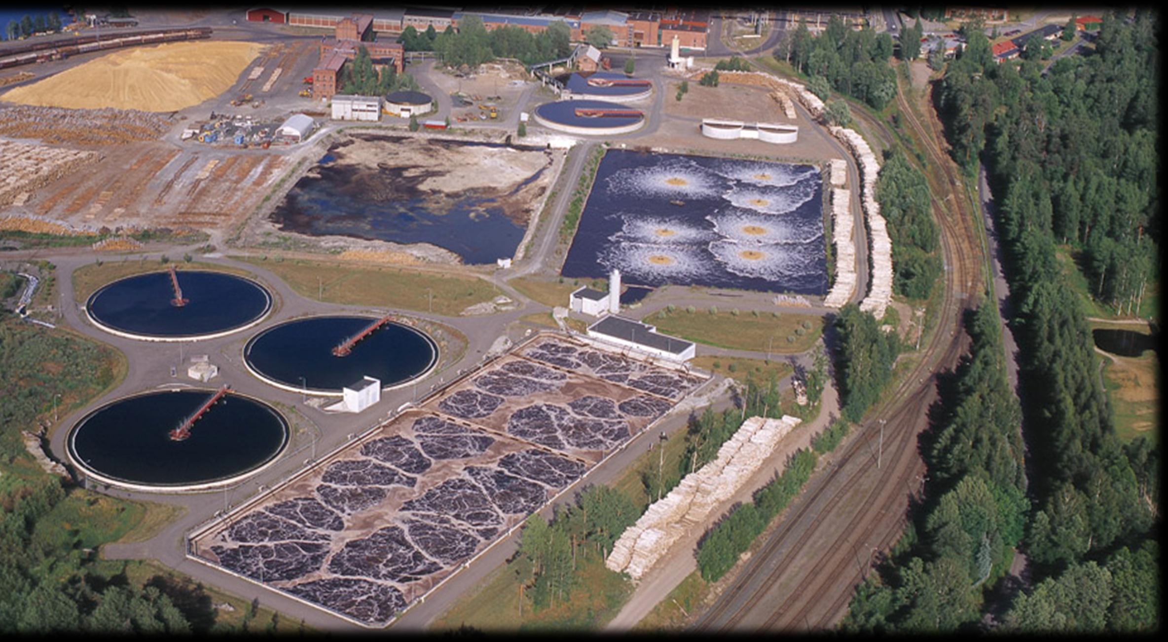 UPM Kaukas Biologinen jäteveden puhdistamo 2 1 1. Esiselkeytysallas: Kiinteän aineksen talteenotto 2.