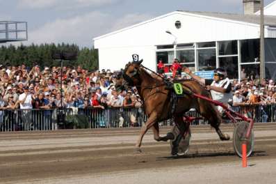 1,5 /päivä Hevoselle ostetaan paikallisia palveluita 1 200 1