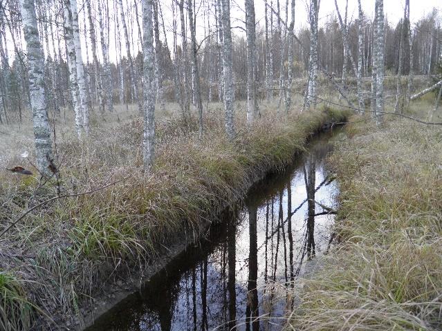 ( Kuva5. Saarapuron valuma-alue. Karttapohja Paikkatietoikkuna) Saarapuron valuma-alueesta, 377ha, peltojen osuus on n. 15 %, noin 57 ha.