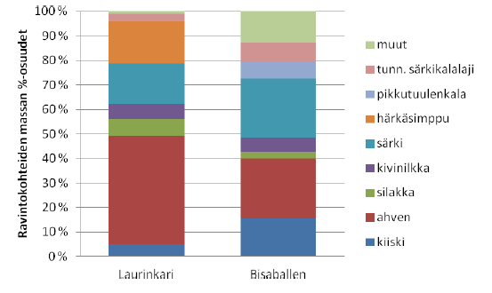 Itäisellä Suomenlahdella tutkittiin vuonna 2011 merimetsojen ravinnonkäyttöä Körmy hankkeen yhteydessä.