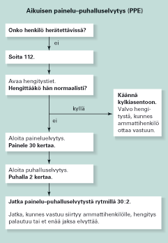 13 KUVIO 1. Aikuisen painelu-puhalluselvytys (Terveyskirjasto 2007 c). 4.