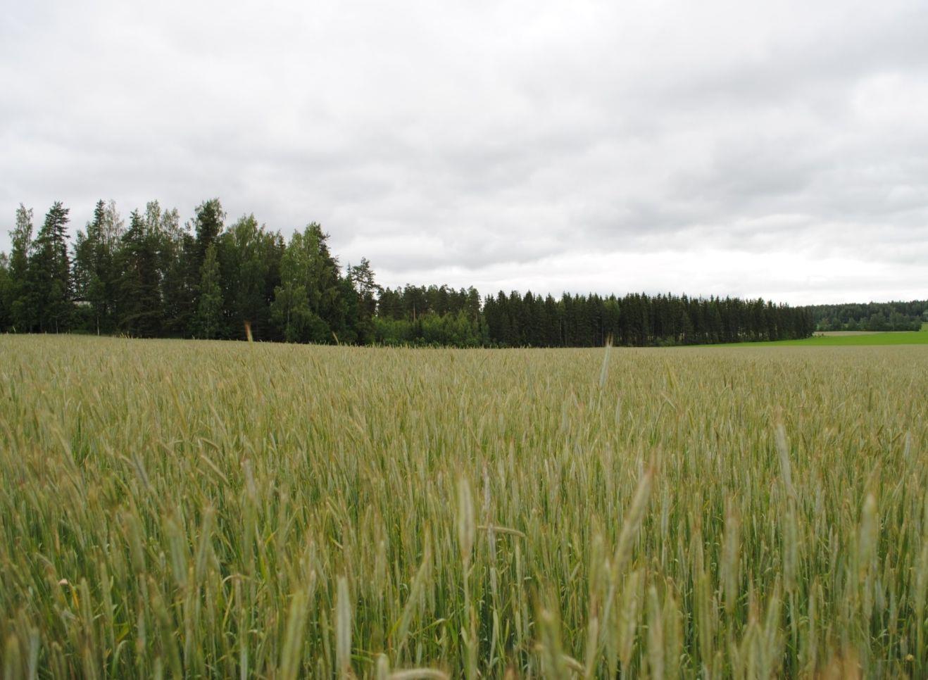 9 Ympäristöneuvonnan toimintamalli Vaihe 2. 1. Tilakäynti: Vaihe 1.