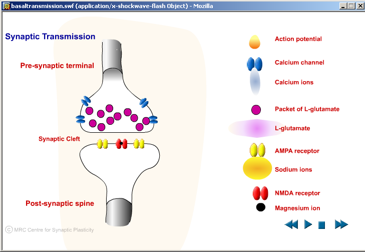 Topiramaatti (antiepilepti) saattaa parantaa psykososiaalisella hoidolla saavutettua hoitotulosta.