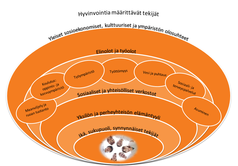 - johdanto Hyvinvointia ja terveyttä määrittävät monet eri tekijät: ikä, sukupuoli ja synnynnäiset tekijät, elämäntyyli elintapoineen ja myös yhteisö jossa elämme (Kuva 1).