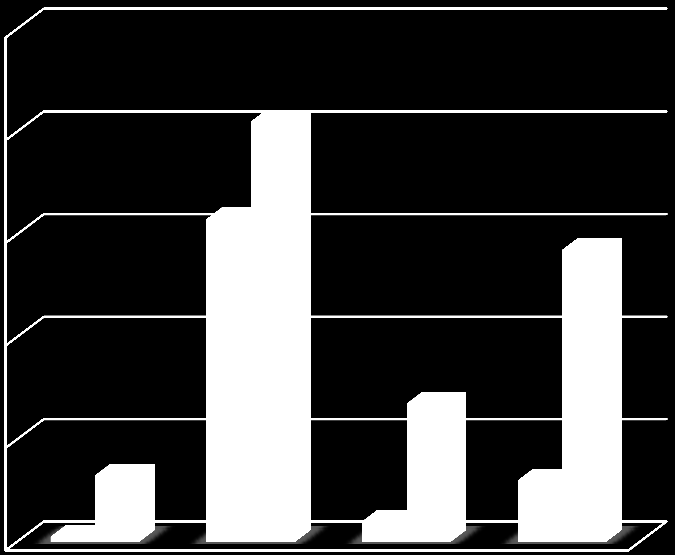 TUOTEVASTUU / KESKEYTYKSET Kaukolämpö Sähkö 1,4 1,2 1 0,8 0,6 0,4 0,2 0 0,88 1,33 0,27 0,72 2007 2008 2009 2010 Asiakkaan kokema