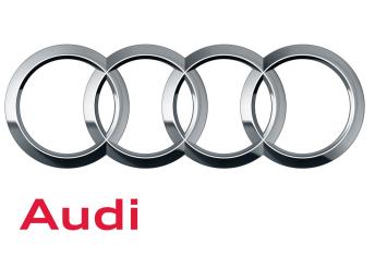KILPAILUT TSS-cup - www.tss.fi ES SHRED-Cup - www.es-alppi.fi Audi Tour - www.skisport.