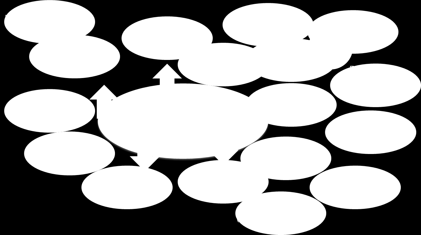 MITÄ TEHTÄVIÄ KUNNILLE JÄÄ? JATKETAANKO KEHITYSTÄ NYKYISELLÄ POLULLA? PERUSTETAAN ERILLISIÄ YHTEISTYÖORGANISAATIOITA? Tuleeko lisää erillisiä toimijoita - KUKA JOHTAA KOKONAISUUTTA?