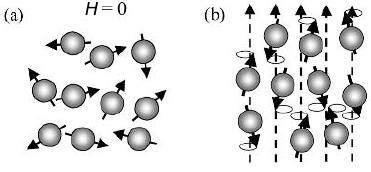 6 vetyatomeista [37]. Yhdessä nämä ominaisuudet tekevät vedystä erittäin soveliaan magneettikuvaustutkimuksiin.