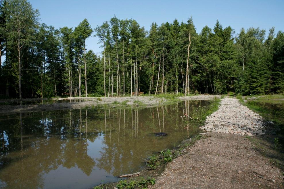 Kosteikon hoitosopimus Kosteikon hoitosopimusta ei voida tehdä: vesiensuojelu- tai monimuotoisuusarvoja vailla olevien kastelualtaiden hoidosta alueen sellaisesta hoidosta, jossa tavoitteena on