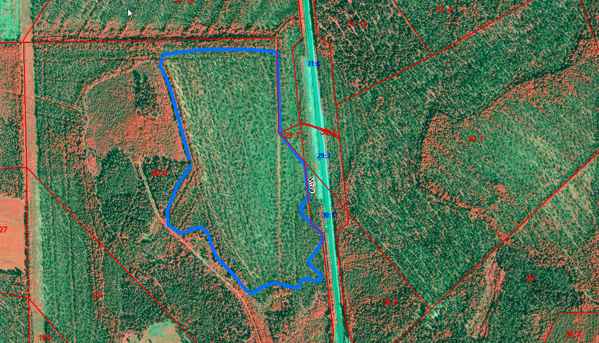 5 3 Toteutus 3.1 Puuston käsittely Puuston noin 11 hehtaarin suuruinen käsittelyalue on rajattu alueen ilmakuvaan sinisellä viivalla (kuva 4) sekä maastoon oranssilla kuitunauhoituksella. Kuva 4.