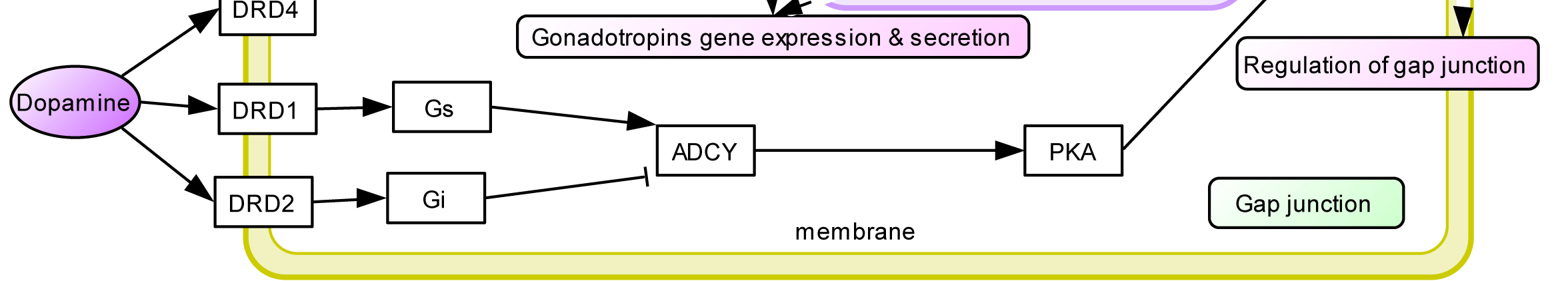 Bioinformatics processing of existing information to discover biological