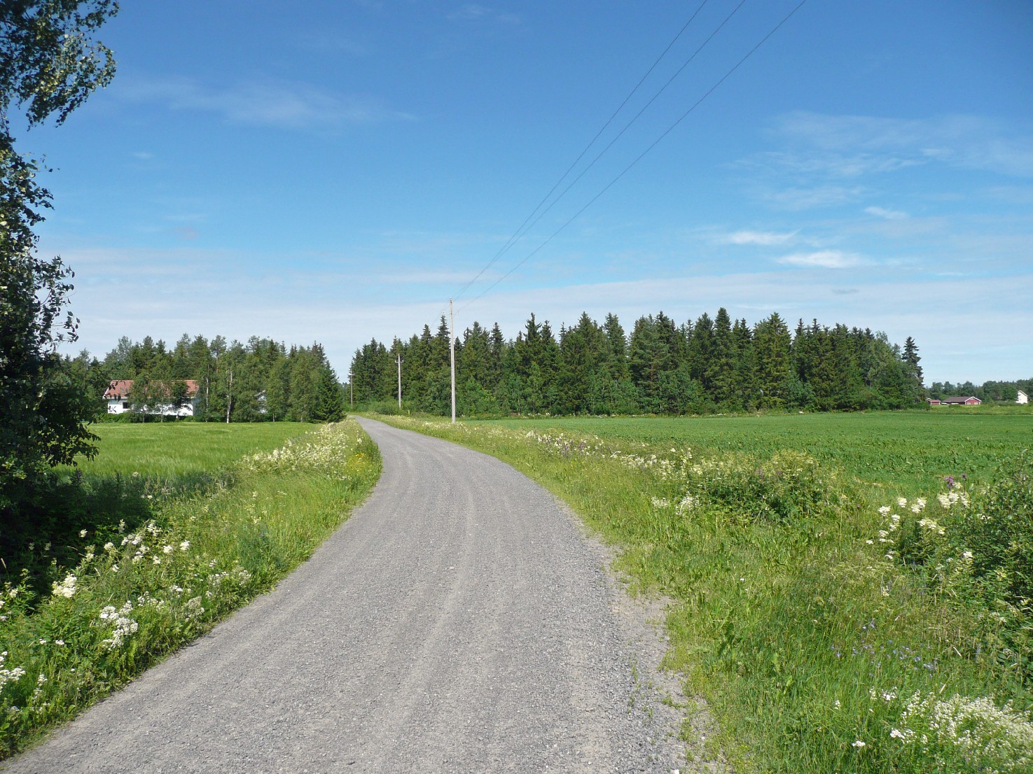 Joissain Alavieskan taloissa on vieläkin paikalla valmistettuja rautaesineitä. 2011: Alueen maasto on epätasaista ja kivikkoista.