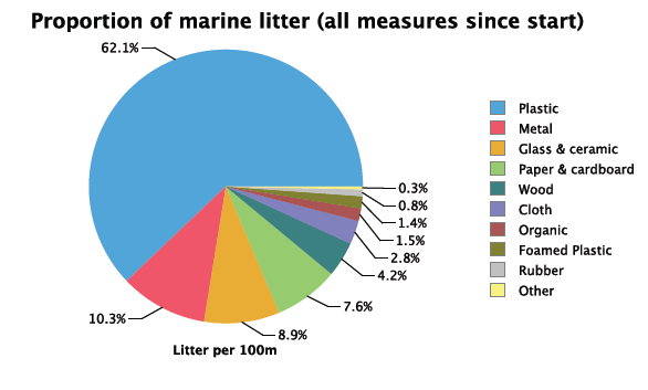 Muovin osuus roskasta Kaikesta roskasta muoviroskaa oli 62,1 %. Muoviroskan suurin kategoria oli Other, kuten muissakin tutkimuskohteissa.