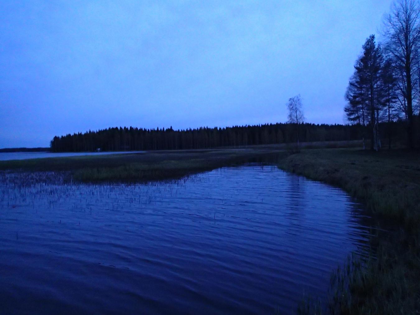 Vastaanottaja Pirkanmaan ELY-keskus Asiakirjatyyppi Raportti