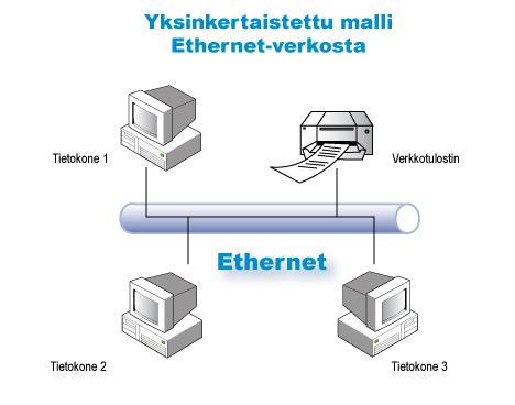 26.8.2010