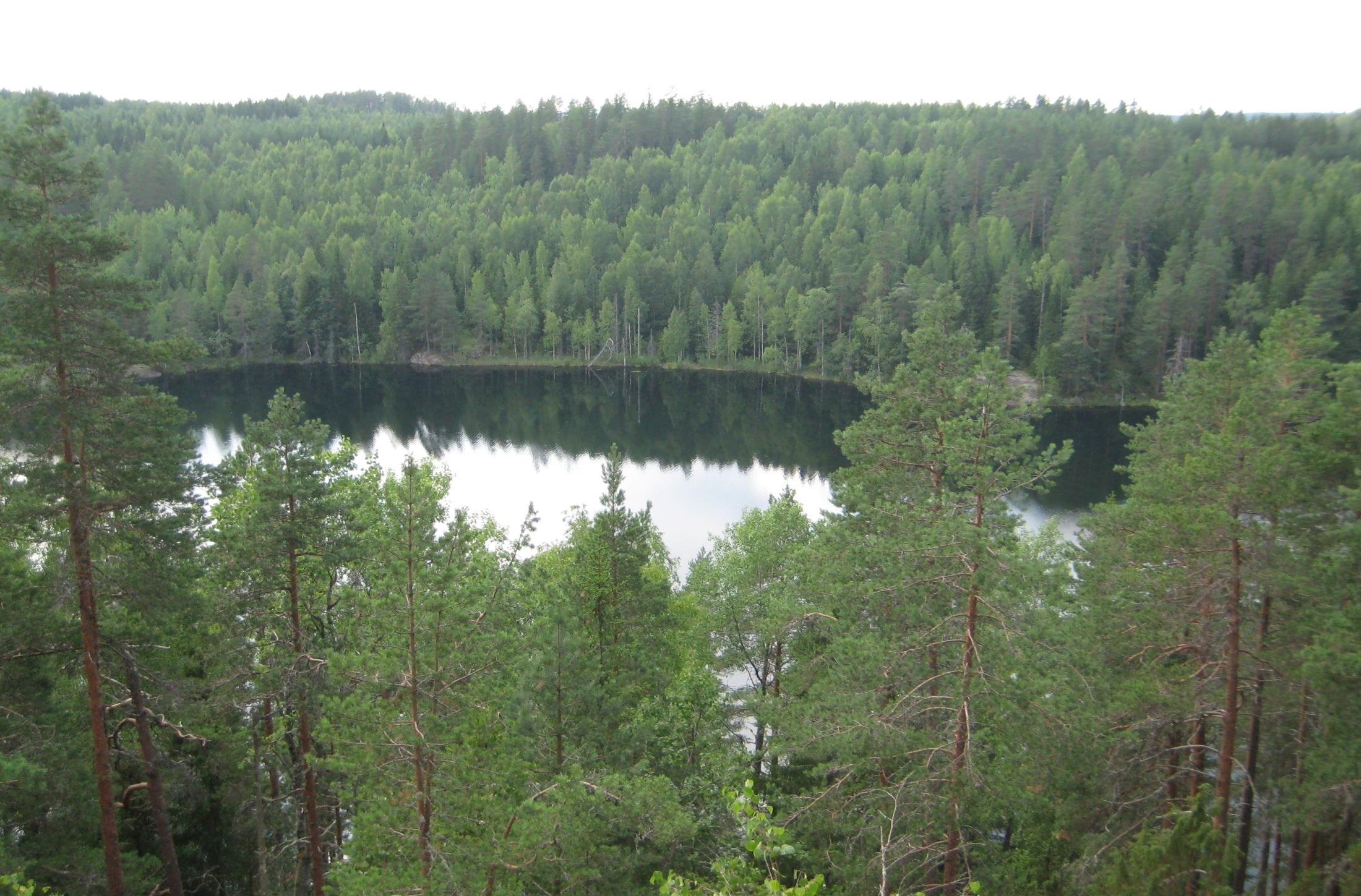 Jääkauden merkit näkyvät alueella hyvin.