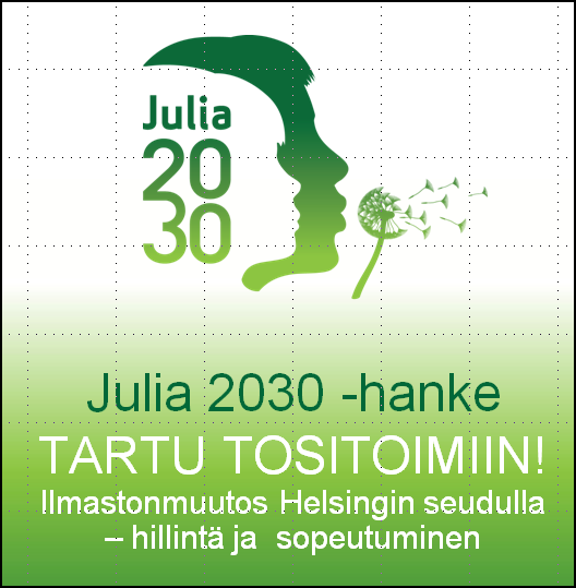 kuntalaisten ja yritysten käyttöön Fokus Helsingin metropolialueessa Internet-sivuilla:
