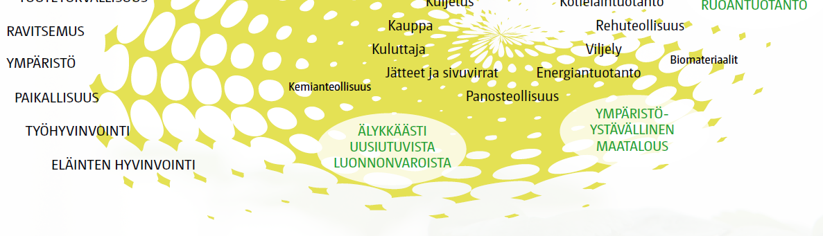 MTT:n tutkimusalueet