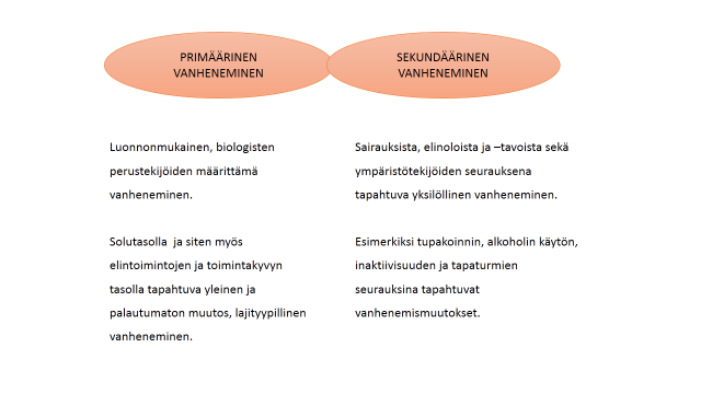 4 Näiden taitojen rinnalla voidaan puhua myös metakognitiivisista taidoista eli ihminen on tietoinen omista tiedon ja tilanteiden käsittelytaidoistaan, joilla hän pyrkii tehostamaan tilanteiden